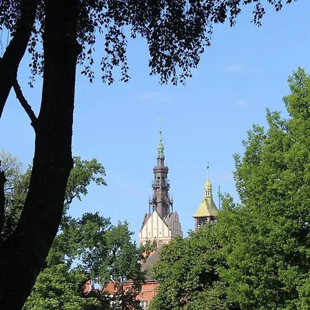 住宿加早餐酒店 Galeona *